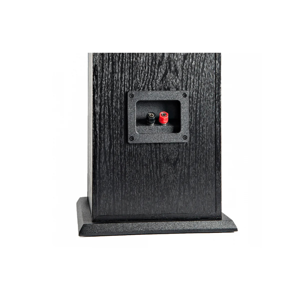 POLK ALTAVOCES SUELO (PAR)	T50