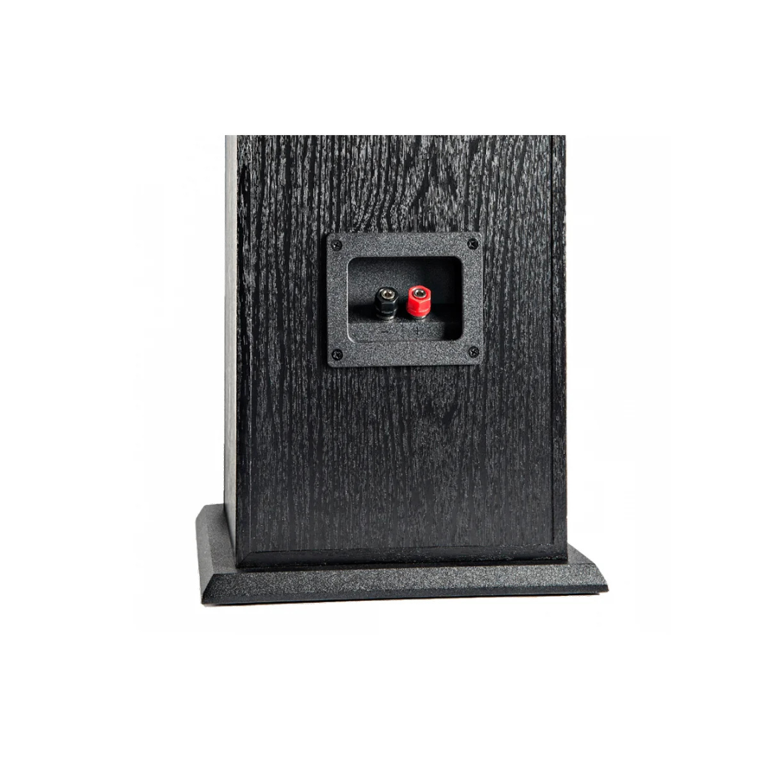 POLK ALTAVOCES SUELO (PAR)	T50